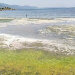 bafa golu kuruyor kirlilik artiyor 5rmcKbJk