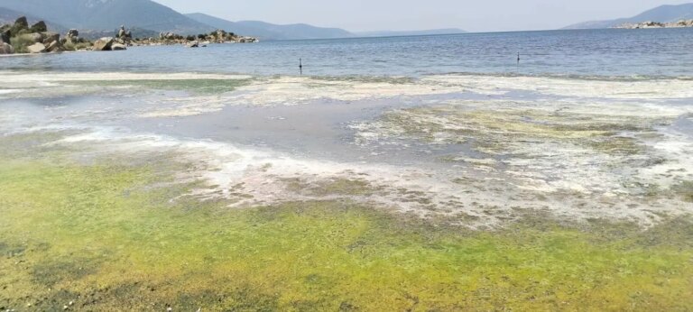 bafa golu kuruyor kirlilik artiyor 5rmcKbJk