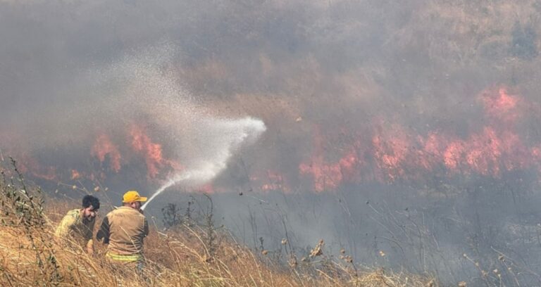 canakkalede yangin havadan ve karadan mudahale ediliyor sqPU87lX
