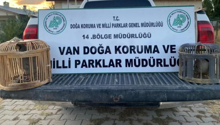 kacak keklik avlayan kisiye 48 bin lira ceza VFcLcEM5