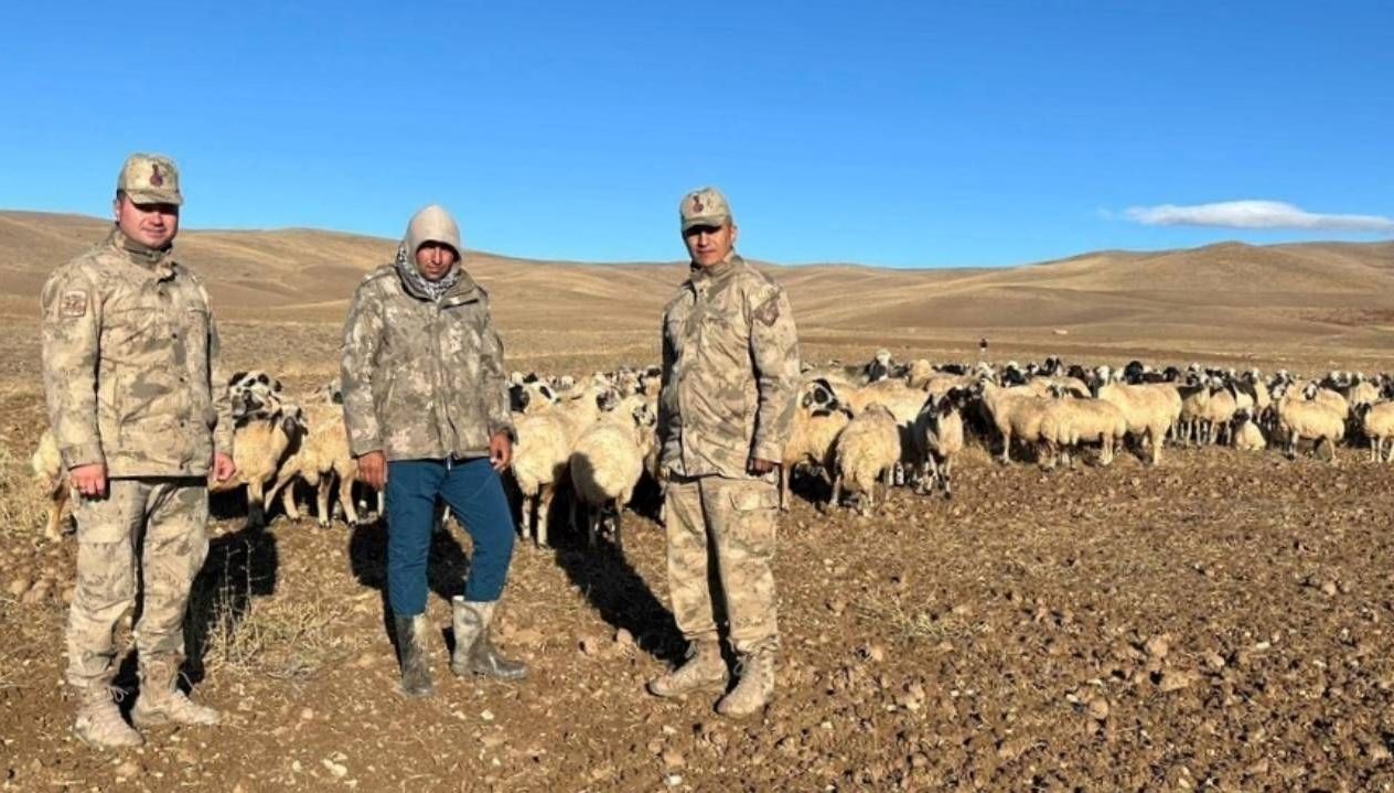 kaybolan 300 koyun iha destegi ile bulundu 6tQ1URhZ