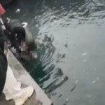 istanbulda can pazari 4 engelli vatandas denize dustu biri hayatini kaybetti 6QwD9Plp.jpg