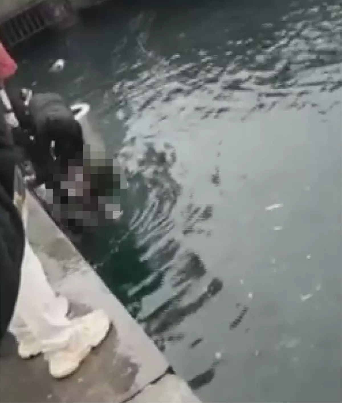 istanbulda can pazari 4 engelli vatandas denize dustu biri hayatini kaybetti 6QwD9Plp.jpg