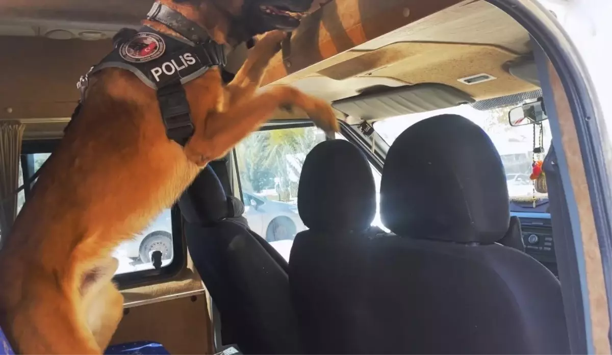 vanda uyusturucu operasyonu V7XbL5fW.jpg