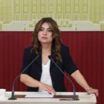 Dem parti grup baskanvekili kocyigit surecle ilgili cerceve yasa taslaginin bu hafta imrali heyetine Ilkwe63i
