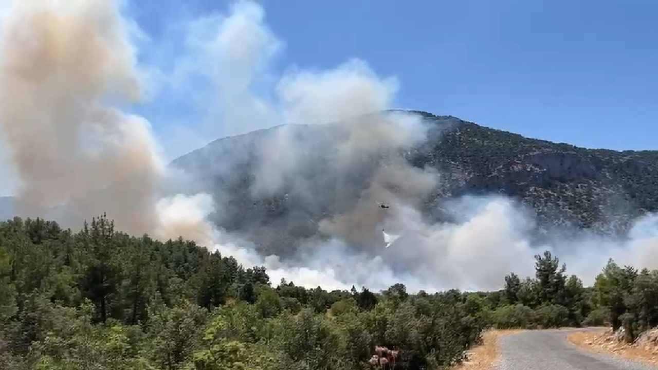 Antalya’daki orman yangınında 100 hektar alan zarar gördü Img