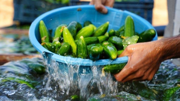 Salataliklari kutur kutur yapan basit yontem sicaktan kuruduysa cope atmayin f21YgtQp